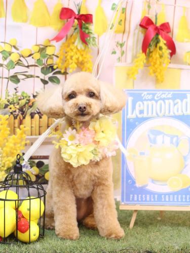 20240430めるちゃん